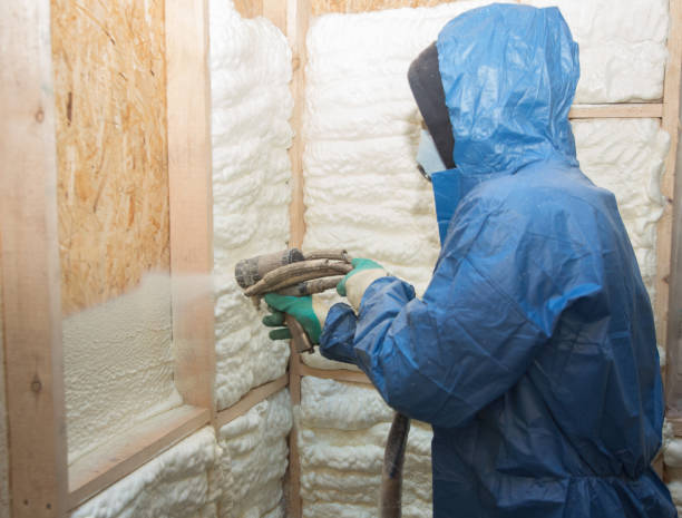 Professional Insulation in Pana, IL